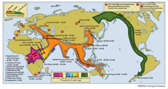 本能寺之变的真相 本能寺之变的历史经过详细分析 本能寺之变的经过