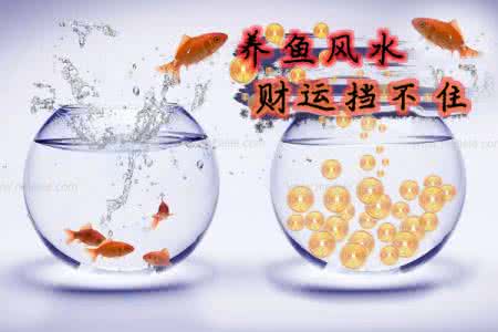 家庭风水财运 财运风水知识