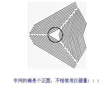 图形知觉敏感期 图形知觉