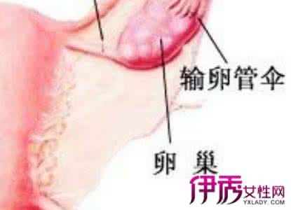 人流后半个月出血鲜红 人流后半个月来月经正常吗