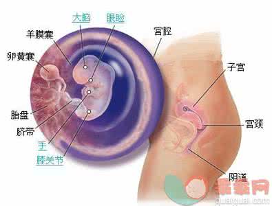 胎儿入盆后注意事项 胎儿入盆后注意事项 怀孕11周胎儿有多大 注意事项有哪些