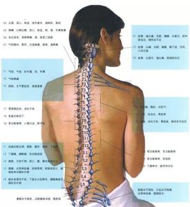 刘一针 血栓治疗仪 刘一针介绍脊神经分布治疗