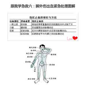 产后出血的急救流程图 产后出血的急救流程图 外伤出血如何急救(图)
