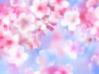 优美散文 桃花醉春风 《桃花谣》(桃花醉春风美图)
