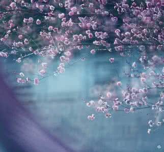 人生如画 岁月如歌 岁月若诗.时光如画【情感美文】