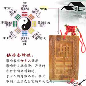 易经风水学 《易经学堂》第900期：?风水篇｜如何运用风水“防火、防盗、防小三”