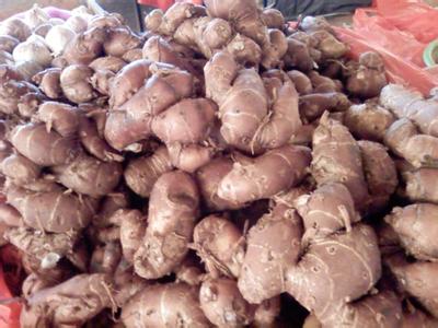 根治骨质增生绝顶秘方 【绝顶秘方】女老中医《根治骨质增生绝顶秘方》2日见效5日痊愈！