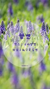 什么触动了我的心灵 什么什么的心灵?