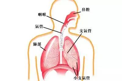 血液循环不好吃什么药 吃什么有助于血液循环呢？