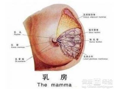 乳腺增生结节怎么治 乳腺增生结节怎么治 乳腺增生和乳腺结节的区别是什么?不要弄错了！