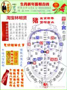 生肖猪2014年各月运势 生肖猪2014年运势详解