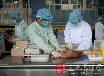 活鸡宰杀会得禽流感吗 广东检验检疫局称供港活鸡检出禽流感为个案