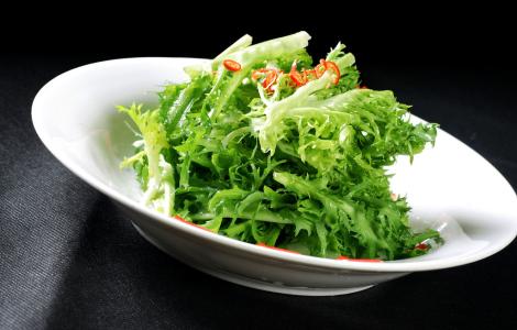 苦菊的做法大全 【苦菊|苦菊的做法】苦菊的做法大全