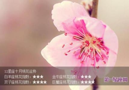 12星座11月桃花运势 2015年3月12星座的桃花运势