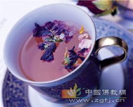 藿香清胃胶囊治口臭 藿薄菊花茶 养胃除口臭