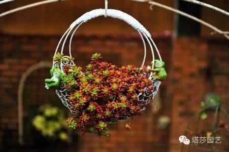 自学一根铁丝开锁教学 【达人分享】教你用几根铁丝做出最美花器!