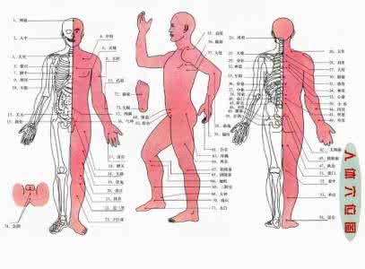 埋线能维持多久 专穴治疗专病——人体穴道