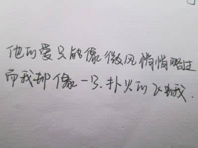 别再为爱犯傻了 爱是一种犯傻的能力