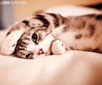 轻盈健身小窍门 赖床族有哪些健身小窍门