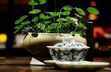 气韵 茶 韵（茶汤四相 贵在气韵）