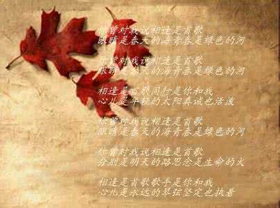 缘是人生最美的相逢 相逢，是首最美的歌