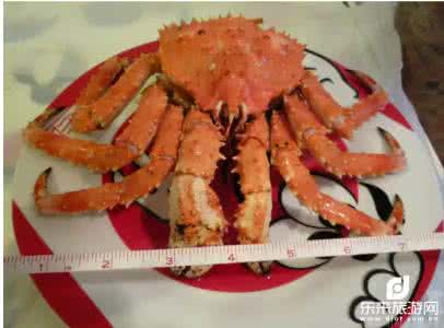 世界顶级残忍美食 解读：世界顶级的日本美食