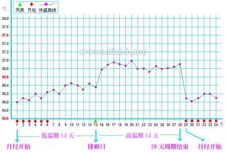 基础体温监测 基础体温如何监测排卵