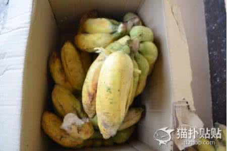 食道炎吃什么蔬菜水果 秋食水果，不懂别乱吃！