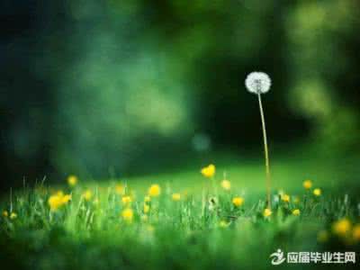 早安心语 【早安心语:掌一盏灯,惊艳世间】