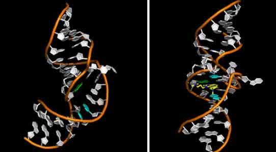 高分子材料老化 新型潜在分子或可用于检测生物老化