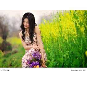 中国歌曲音画欣赏 【音画欣赏】2014冬之韵好听歌曲精选《草原妹妹》