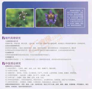 天麻的主要有效成分为 夏枯草有效成分 夏枯草的主要成分和作用