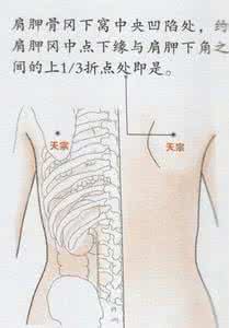 神奇的穴位——健胸美体穴：天宗