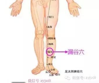 养生先养腿和脚 养生先养腿和脚，减肥重在化痰祛湿补气文档