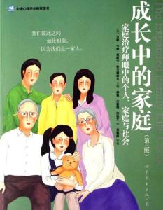 萨提亚家庭治疗模式 家庭治疗本土化发展与务实研究