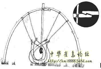 绷紧的绳套阱 陷阱－－绳套阱狩猎技巧