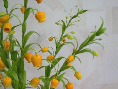 金铃花的药用价值 金铃花的功效与作用
