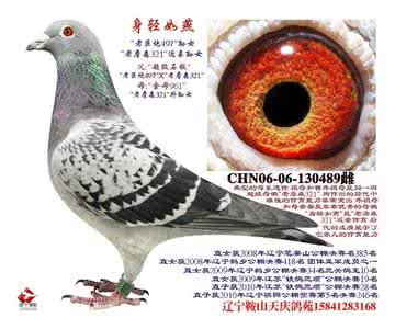 身轻如燕 减负再减负,告诉你如何身轻如燕地出去野!