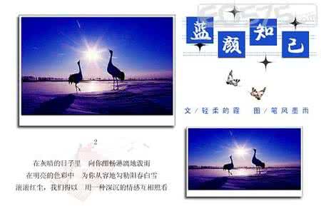 蓝颜知己 蓝颜知己(2)【图文】