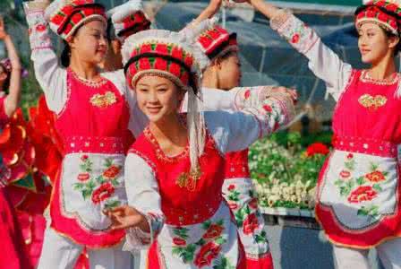 云南花醉美进货平台 一脚踏进云南,我的心都醉了!