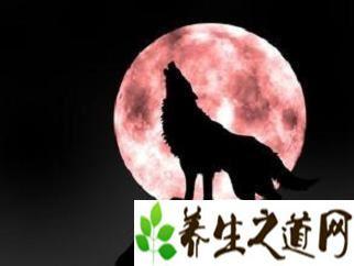 狼图腾的意义 维吾尔族图腾 维吾尔族图腾 维吾尔族“狼”图腾有啥意义