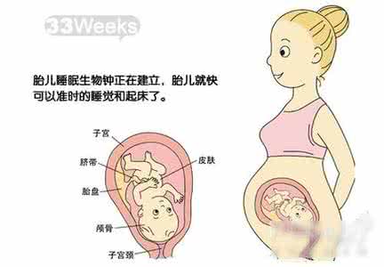 胎儿各阶段发育标准 胎儿阶段发育不同 胎教方法重点也不同