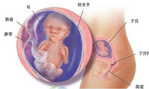 羊水深度与孕周 羊水深度标准
