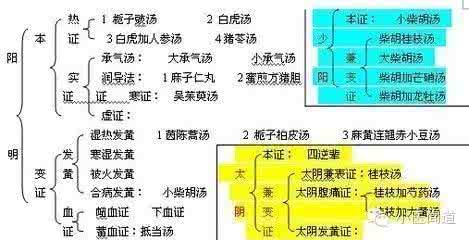 五脏同调百病消 五脏同调百病消 脾胃虚弱百病生 辨证论治调五脏