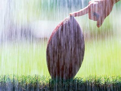 体内热毒重怎么排 体内湿气、热毒太重，这种风味独特的草能帮你！