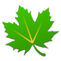 净化大师 绿色守护 净化大师和绿色守护哪个好