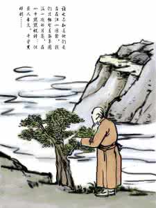 大红袍的功效与作用 老和尚与大红袍