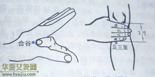 苍耳子散加减 穴位敷贴结合乌梅苍耳子散加减治疗小儿过敏性鼻炎的疗效观察