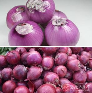 大蒜精油哪些人不能吃 大蒜精油哪些人不能吃 千万不能吃洋葱大蒜?真吓人,别怪我没告诉您!