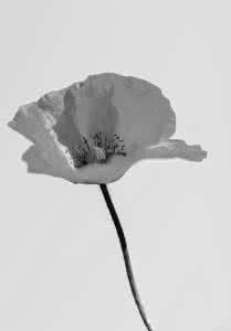 房地产名词解释 房地产相关名词解释大全d 37037字 投稿:钟珕珖